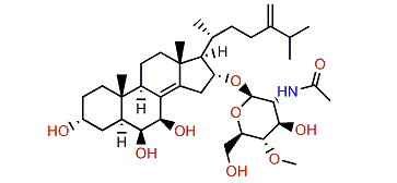 Anthenoside A1